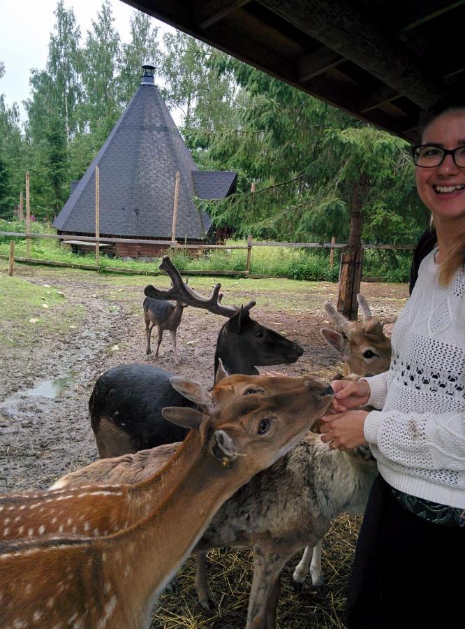 Suvituuli | Paajoen Vuokramoekit Villa Himos Dış mekan fotoğraf