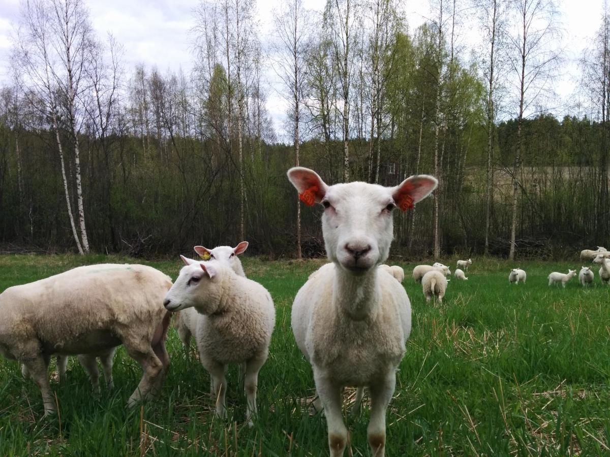 Suvituuli | Paajoen Vuokramoekit Villa Himos Dış mekan fotoğraf